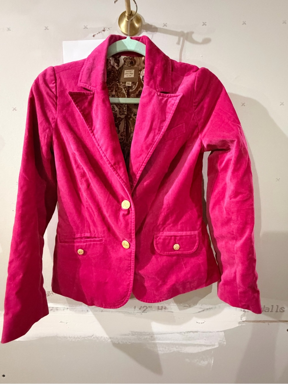 Old Navy Vintage Pink Velvet Blazer Jacket - with paisley print